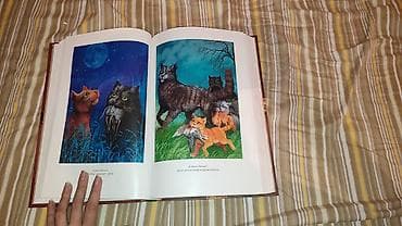 third edition solution: Коты-Воители — коллекционное издание в твердых переплетах золотая — 2