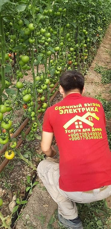 Электрики: Электрик 24 часа услуги электрика в бишкеке выполнит электромонтажные — 5