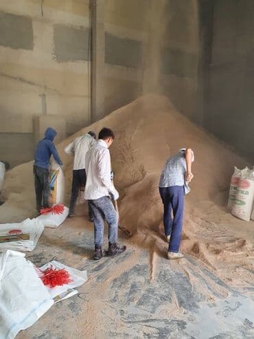 рэгдолл цена: Отруби отруби Отруб отруб Улпак улпак Улпаг улпак Кепек Кебек Кевек — 11