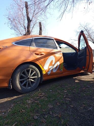 Сдаю в аренду