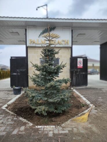 телемастер на дому: Коттедж, Палм бич ЦО Palm Beach, Чок-Тал, Детская площадка, Парковка, стоянка, Охраняемая территория — 1