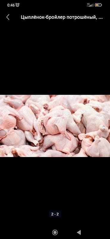 Куриная продукция оптом Ассортимент: - Цыплёнок-бройлер потрошёный