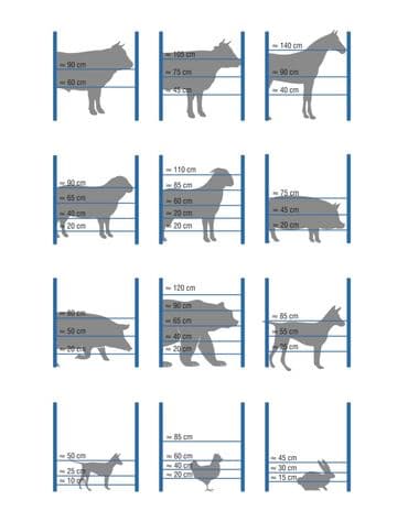 электрический ошейник для собак: Электро пастух от компании «Техномаш» Турецкого производителя — 3