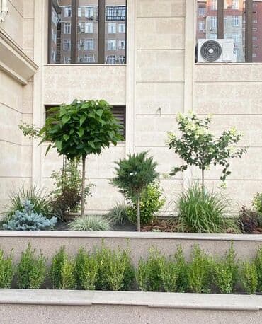 дом в александровке купить: 2 комнаты, Собственник, С мебелью полностью — 9