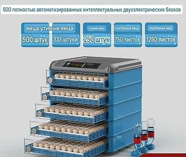 шпон пресс: Инкубатор автоматический, интеллектуальный, двухэлектрический, на 500 — 1