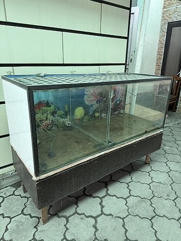 холодил бу: Срочно продаю холодильник, морозильник и аквариум, цена договорная 5,6 — 6