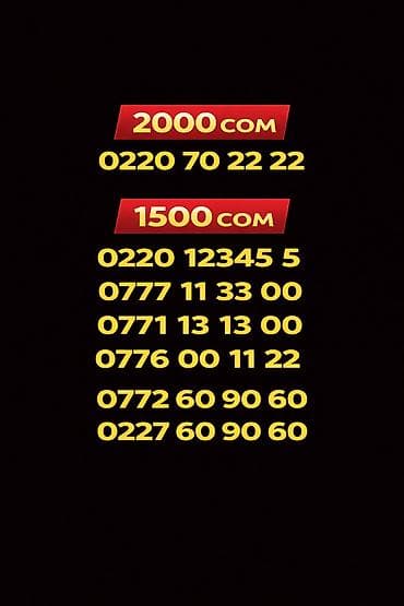 охладитель телефона: Вип красивые номера. Официальное переоформление с паспортом — 1