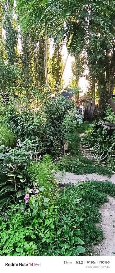 продаю дом в селе красная речка: Үй, 84 кв. м, 5 бөлмө, Менчик ээси, Косметикалык оңдоо — 5