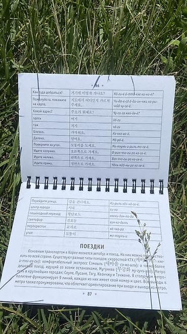 переписать конспект за деньги: Справочник «Все правила корейского языка на ладони» (издательство — 7
