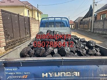 Каменный уголь «Шабыркул» в кусках. - Фракция: крупные куски