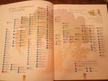 купить школьную доску для начальных классов: "Тайны Пушкинского Древа" автор - Лариса Черкашина, г. Москва, : изд — 5