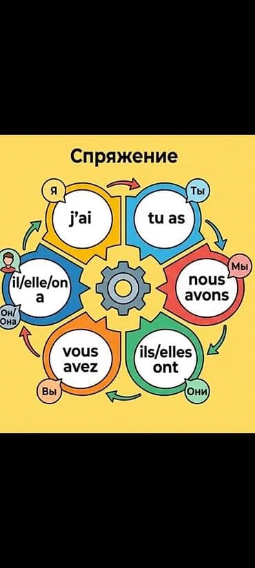 Языковые курсы: Языковые курсы Французкий Для взрослых, Для детей — 9
