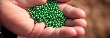 розы корни: Семена овощей: Свекла, Самовывоз, Бесплатная доставка, Платная доставка — 9