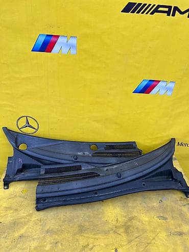 Жабо эстима 
Привозная из Японии