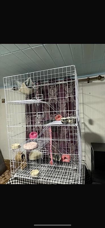 Просторная многоярусная клетка для декоративных крыс, хорьков, шиншилл at lalafo.kg Просторная многоярусная клетка для декоративных крыс, хорьков, шиншилл