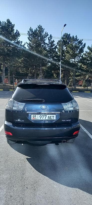 Lexus RX: 2003 г., 3 л, Автомат, Бензин, Кроссовер