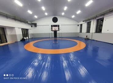 гдз полный курс математики 4 класс узорова нефедова ответы: Ковры маты даянги татами дзюдо борцовские ковры груши чучело медболы — 1