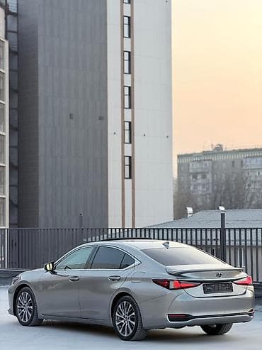 сиз 80: Lexus ES: 2020 г., 2.5 л, Вариатор, Гибрид, Седан — 4