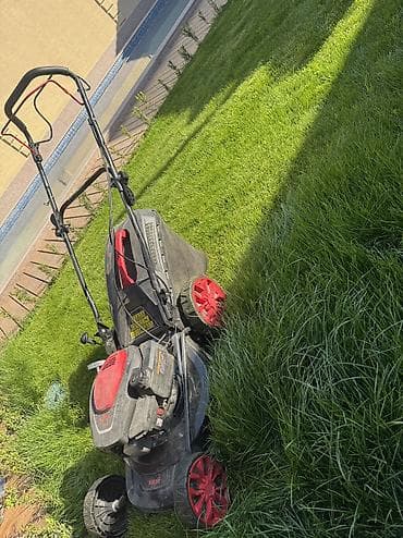 точу ножи: Уборка территории, Стрижка газона, Уход за деревьями — 2