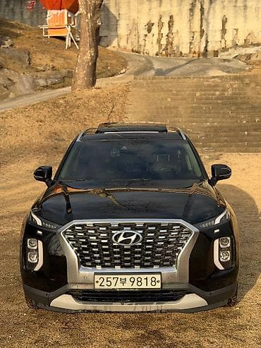 transporter multivan: Hyundai Palisade: 2020 г., 2.2 л, Автомат, Дизель, Кроссовер — 2