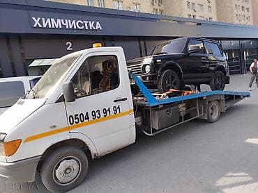 daf 95: С лебедкой — 3