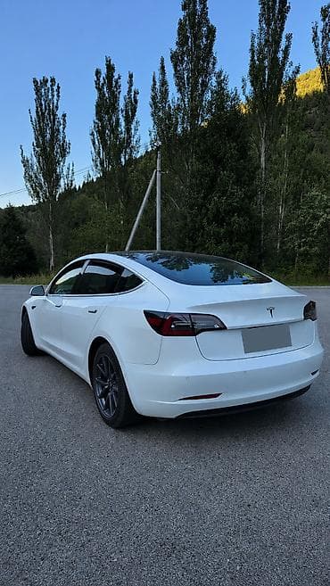 пригнан: Tesla Model 3: 2020 г., Электромобиль — 4