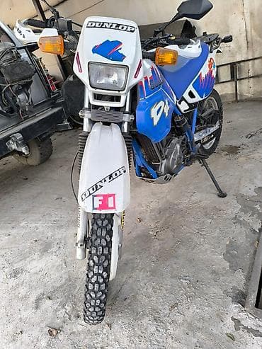 Мотоциклы: Эндуро Suzuki, 650 куб. см, Бензин, Взрослый, Б/у — 2