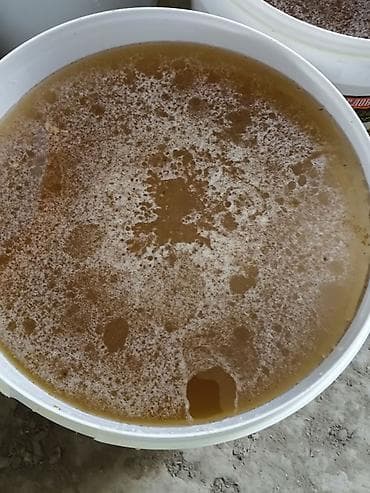 fire maple: .🍯 Натуральный эспарцетовый мёд 🍯 Попробуйте настоящий эспарцетовый — 1