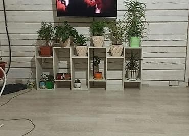 small table: Книжная полка, Новый, ЛДСП, Напольная — 3