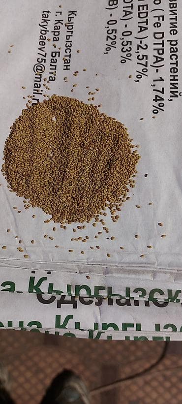 пшеница буудай: Семена кормовых растений: Люцерна — 7