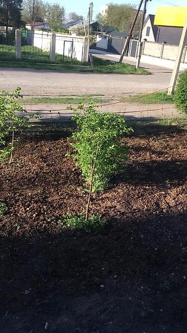 чортекова квартира: 4 комнаты, 88 м², 106 серия улучшенная, 1 этаж, Дизайнерский ремонт — 8