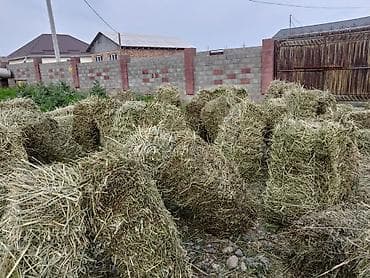 Сено в тюках - Кормовое сено в прямоугольных тюках, плотная
