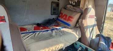 садовый измелчитель: Грузовик, DAF — 12