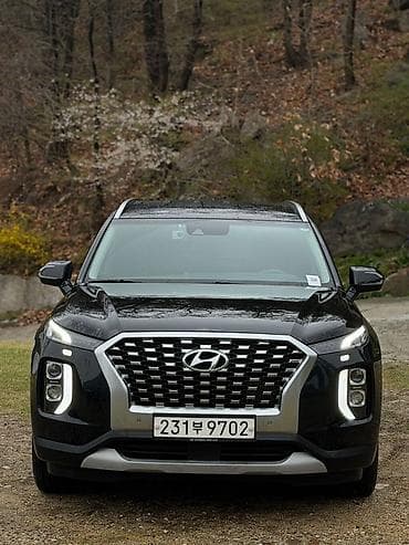 киа палисайд: Hyundai Palisade: 2020 г., 2.2 л, Автомат, Дизель, Кроссовер — 3