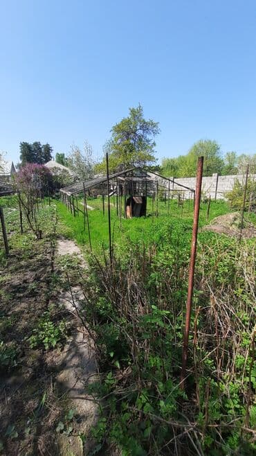 продаю дом аламединский рынок: Дом, 65 м², 4 комнаты, Риэлтор, Старый ремонт — 7