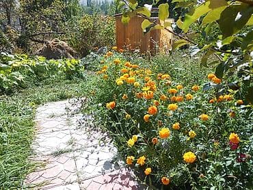 Коммерциялык мүлк: Дача, 33 м², 2 бөлмө, Менчик ээси, Эски ремонт — 5