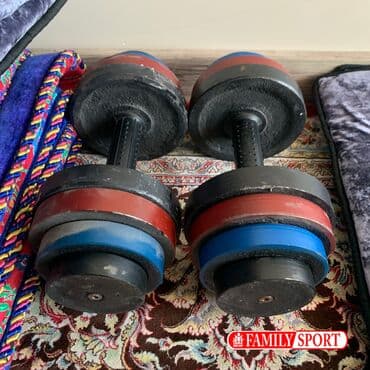 гантели для начинающих дома: Металлические гантели от FamilySport Разборные съёмные От 3кг до — 1