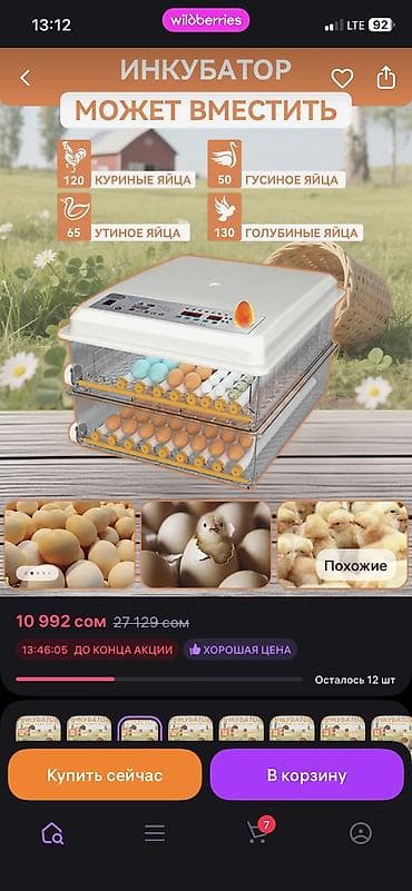 Өндүрүш үчүн жабдуулар: Продаю инкубатор на 120 яйц — 1