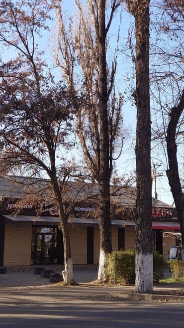 срочно срочно продаю дом город карабалта: 1 комната, 40 м², Сталинка, 1 этаж, Косметический ремонт — 13