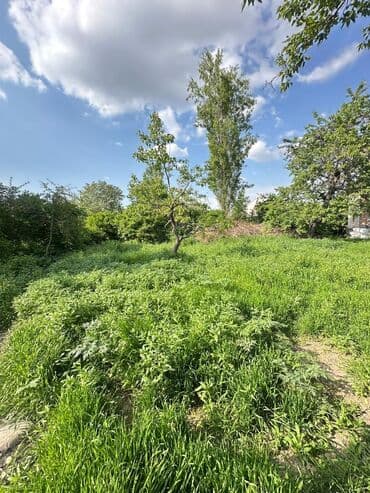 ишу земельный дом кок жар: 31 соток, Для строительства, Красная книга — 2