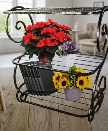 утюг пластиковые: Тумба и подставка для обуви, Новый, Железо, Самовывоз — 1