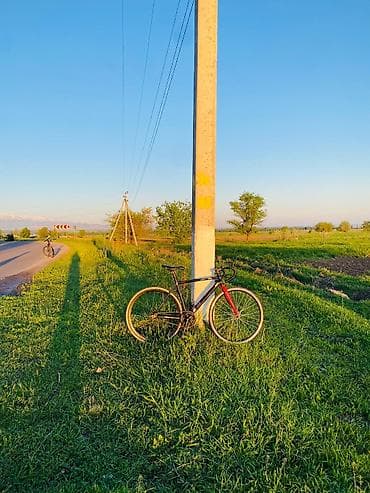 великов: Городской/трековый велосипед с фиксированной передачей (fixed-gear) - — 2