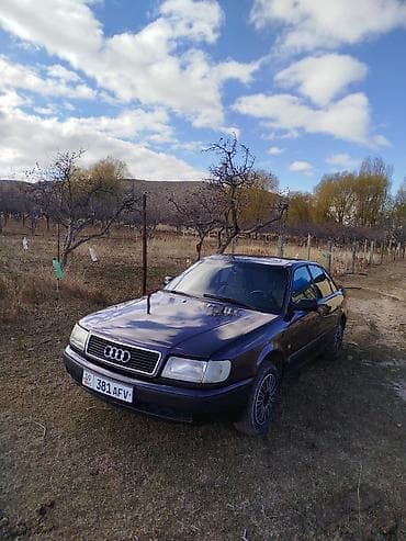 аудио касета: Audi 100: 1993 г., 2 л, Ручные, Бензин, Седан — 1
