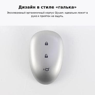 100: Ключ Changan 2026 г., Новый, Оригинал, Китай — 4