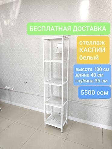 полка настольная: Книжная полка, Новый, Железо, Напольная, Бесплатная доставка — 1