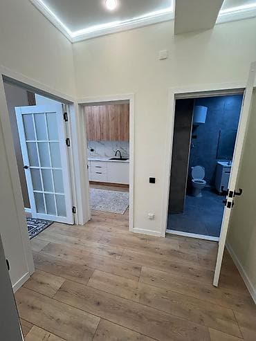 1 комната, 46 м², Аламедин-1 мкр Элитка, 2 этаж, Евроремонт