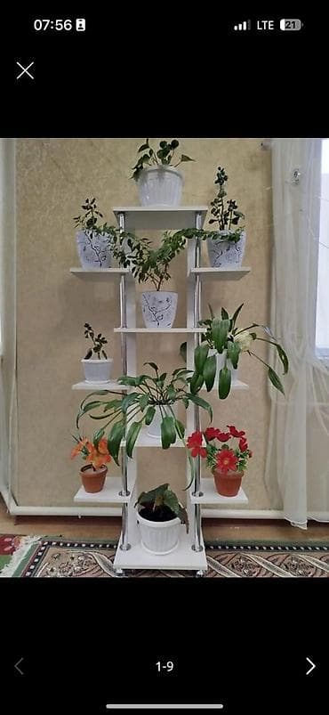 Многоярусная этажерка-стойка для комнатных растений. - Конструкция на lalafo.kg да Многоярусная этажерка-стойка для комнатных растений. - Конструкция на