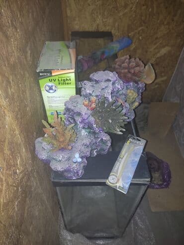 акустические системы atrix колонка в виде собак: Продаю аквариум длина1,40 см ширина 40 см высота 80 см толшина стекла — 4