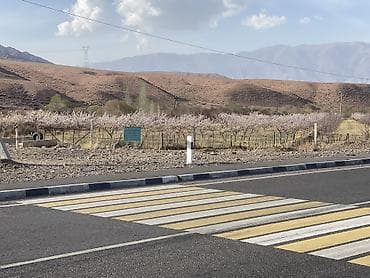 учас: 700 соток, Бизнес үчүн, Техпаспорт, Сатып алуу-сатуу келишими, Белек келишими — 7