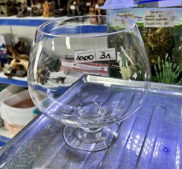 все для аквариума бишкек: Круглые аквариумы от 1,5л до 22л зоомагазин Жемчужина Мы находимся — 1